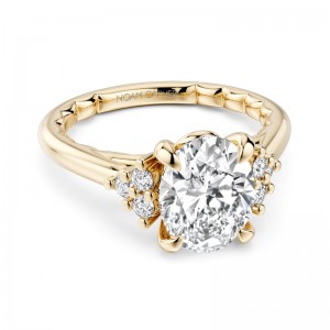 Noam Carver Engagement Ring