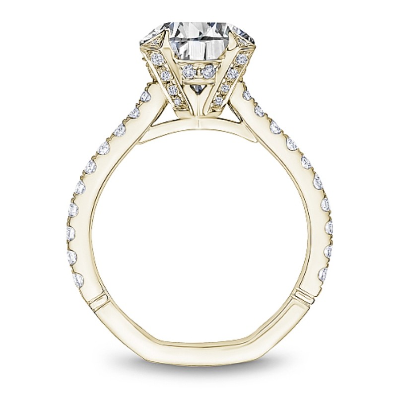Noam Carver Engagement Ring