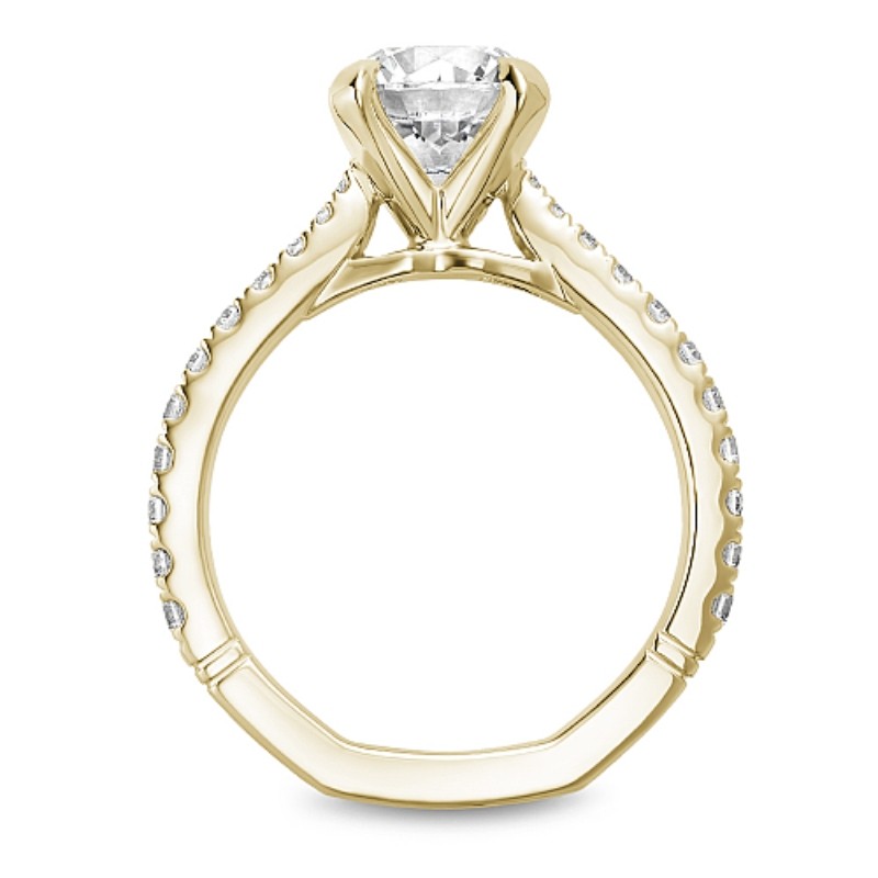 Noam Carver Engagement Ring