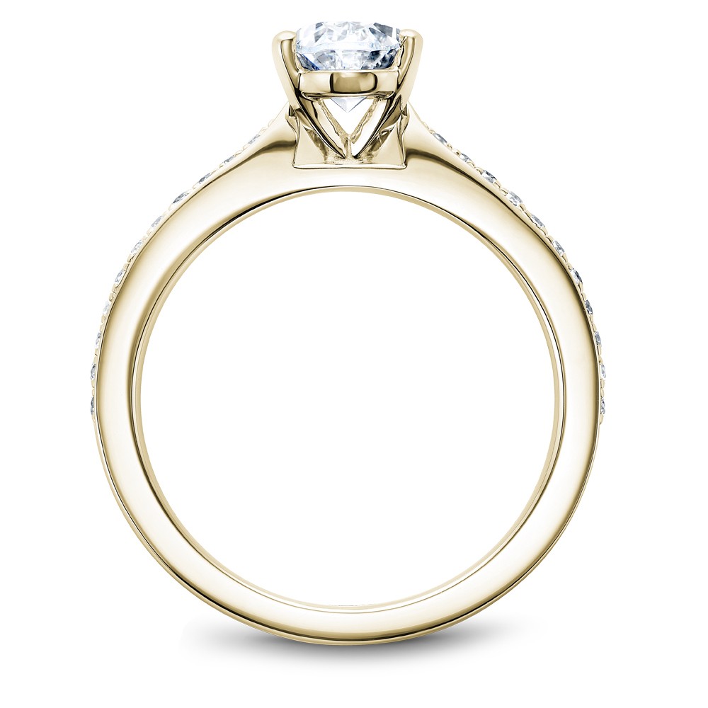 Noam Carver Semi Mount Engagement Ring