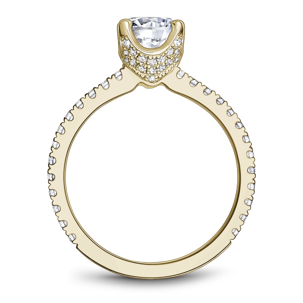 Noam Carver Semi Mount Engagement Ring