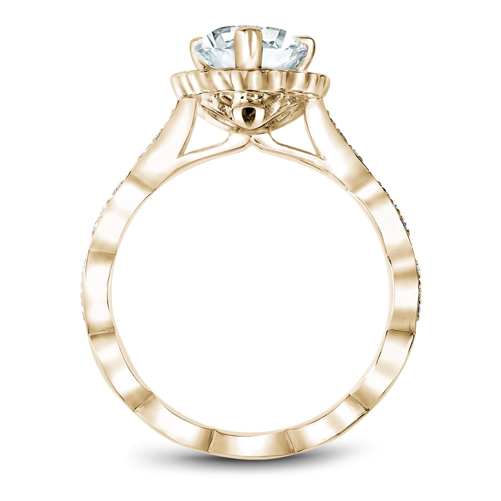 Noam Carver Semi Mount Engagement Ring