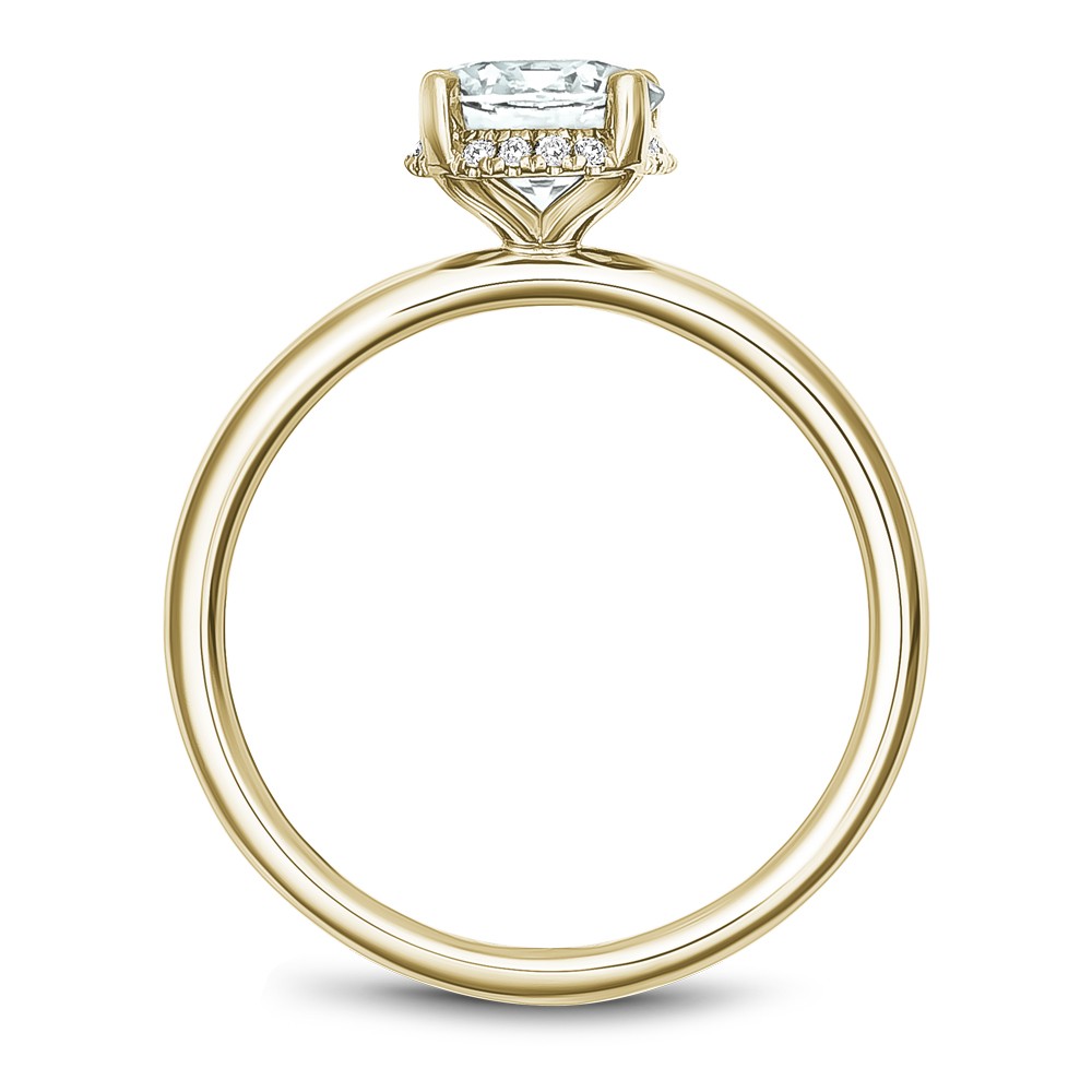 Noam Carver Semi Mount Engagement Ring