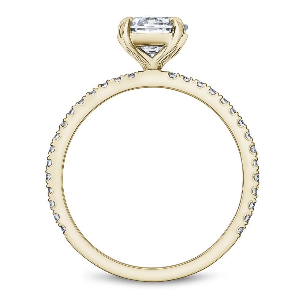 Noam Carver Semi Mount Engagement Ring