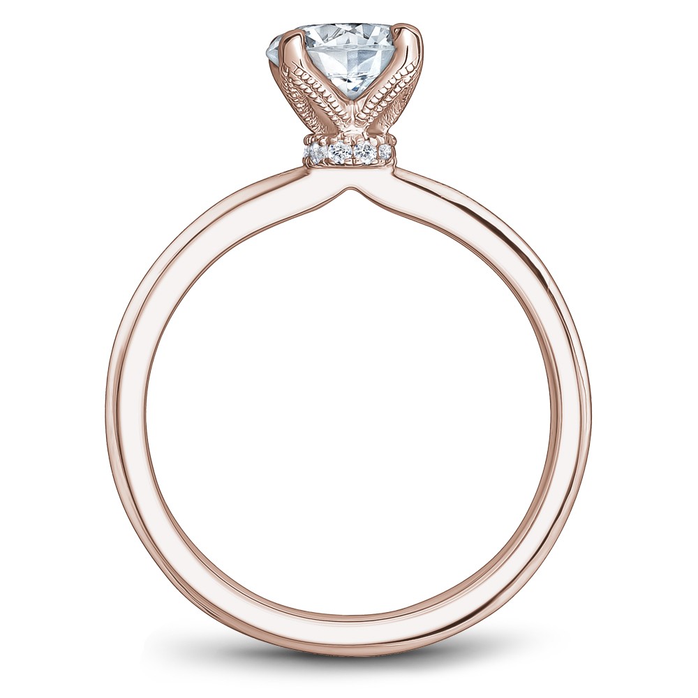 Noam Carver Semi Mount Engagement Ring