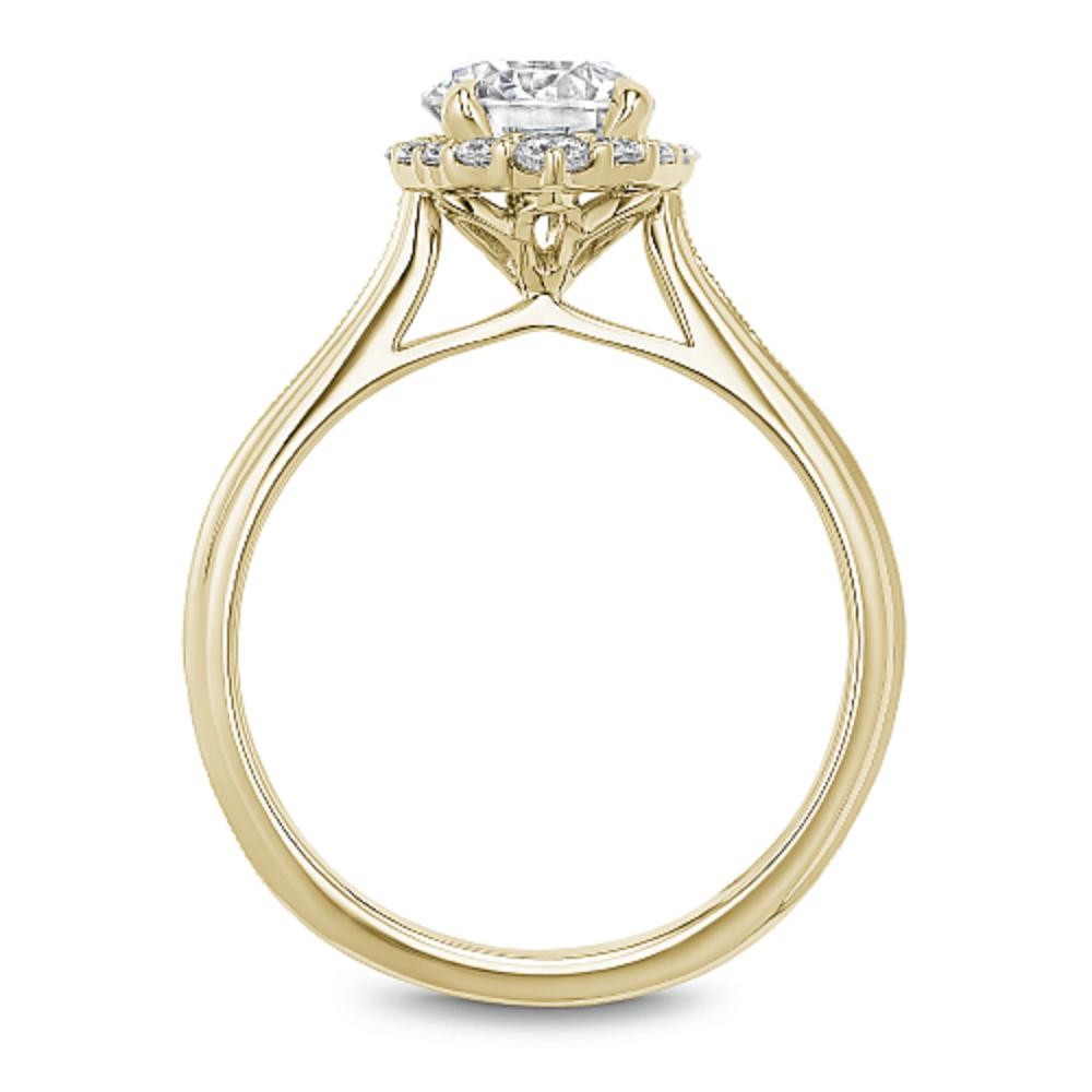 Noam Carver Engagement Ring
