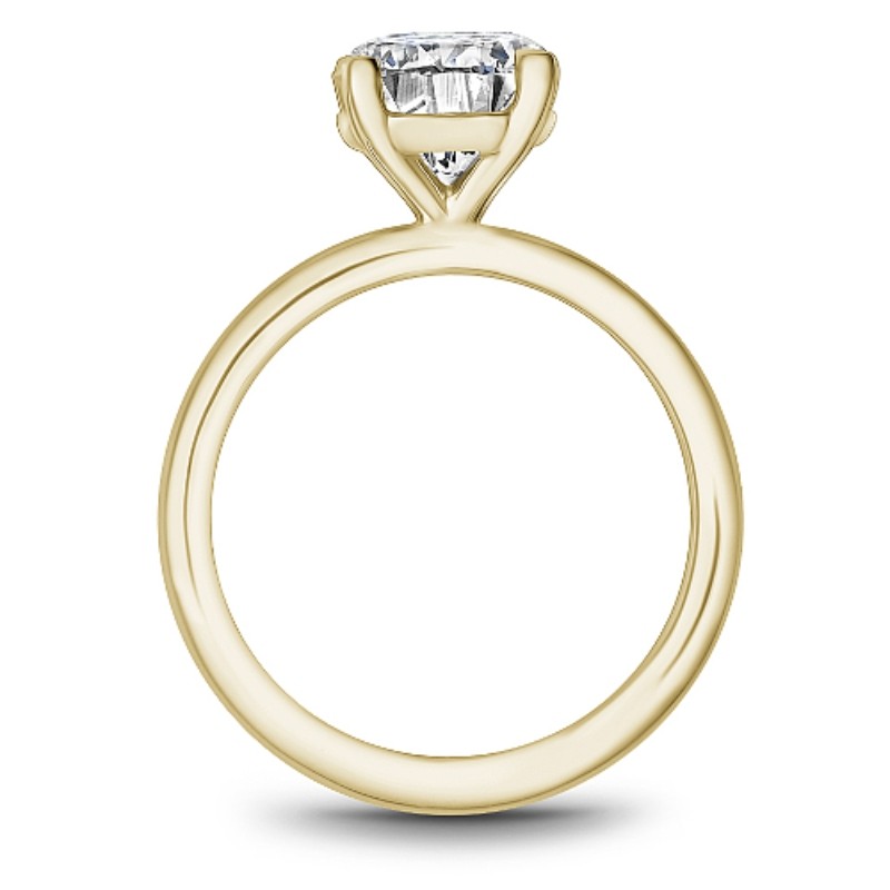Noam Carver Engagement Ring