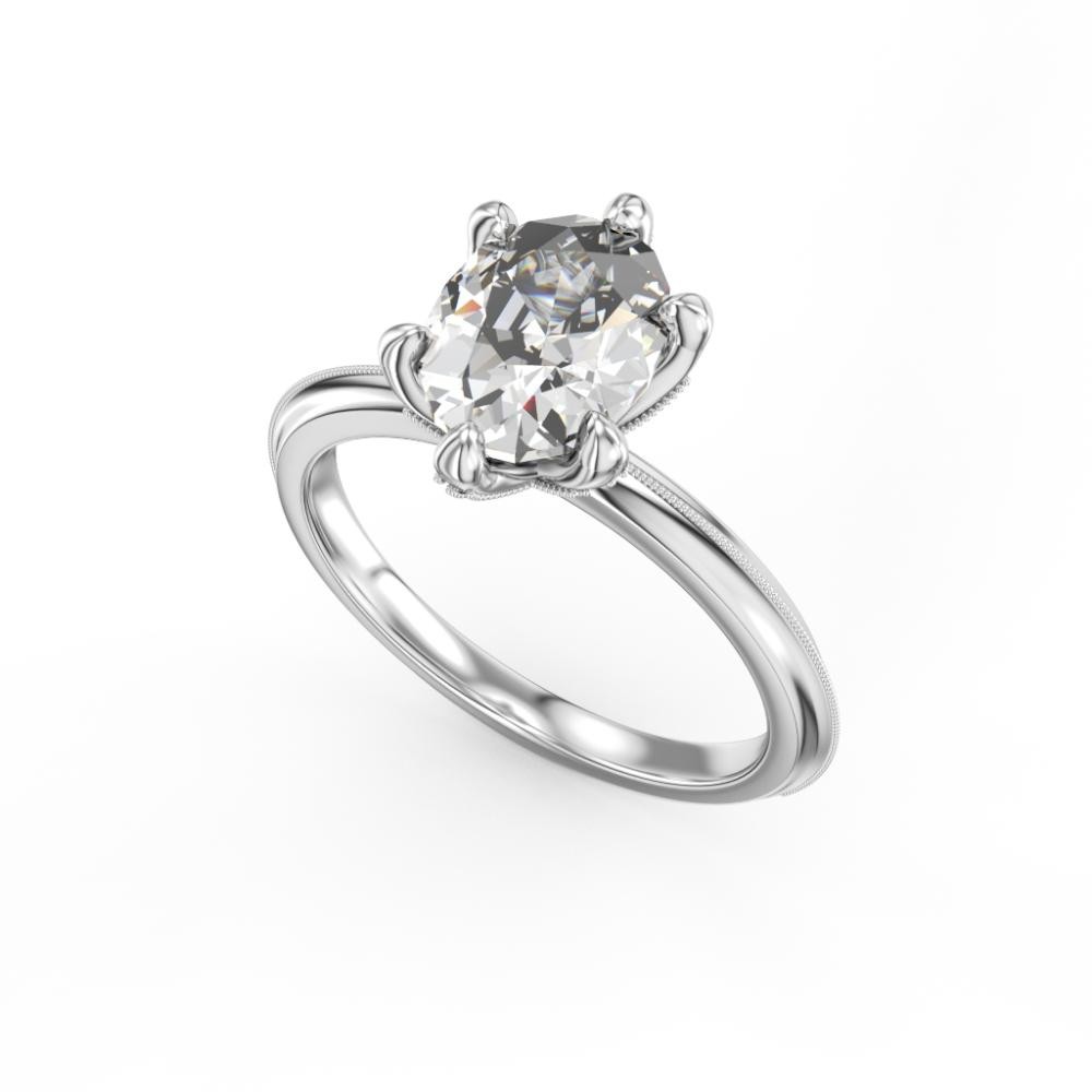 Noam Carver Engagement Ring