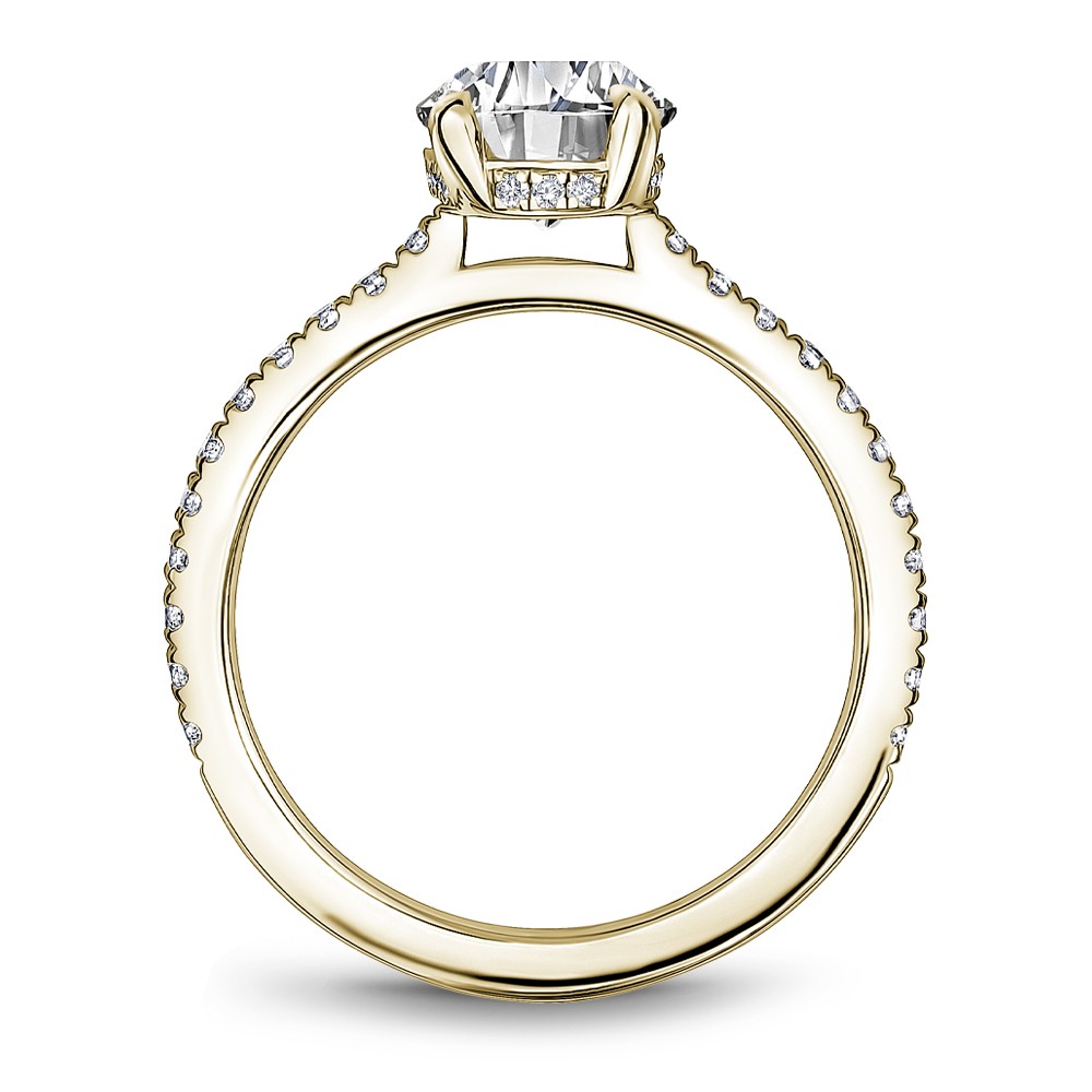 Noam Carver Semi Mount Engagement Ring