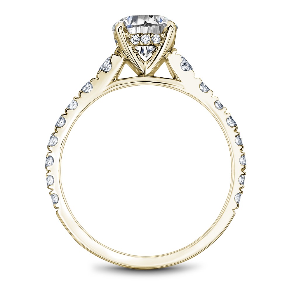 Noam Carver Semi Mount Engagement Ring