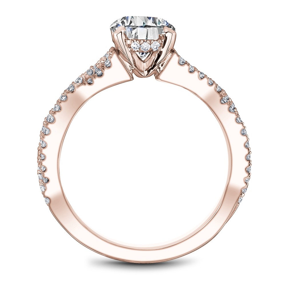 Noam Carver Semi Mount Engagement Ring