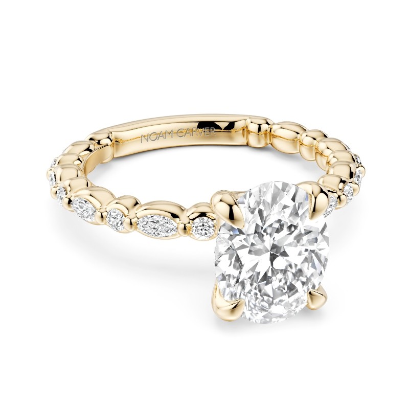 Noam Carver Engagement Ring