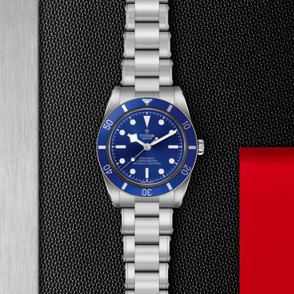 TUDOR Black Bay 54 Watch - M79000B-0001 at  Providence Diamond