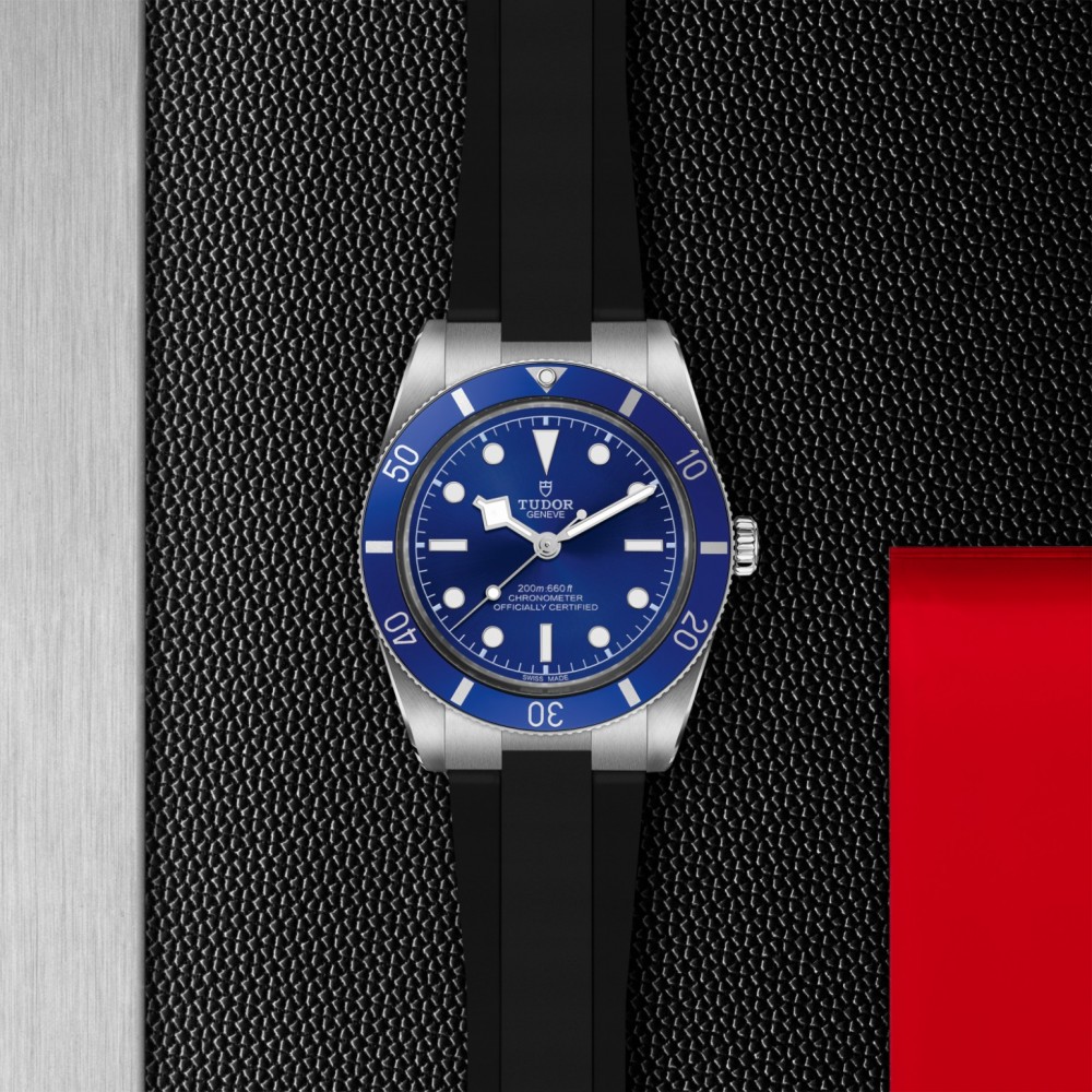 TUDOR Black Bay 54 Watch - M79000B-0002 at  Providence Diamond