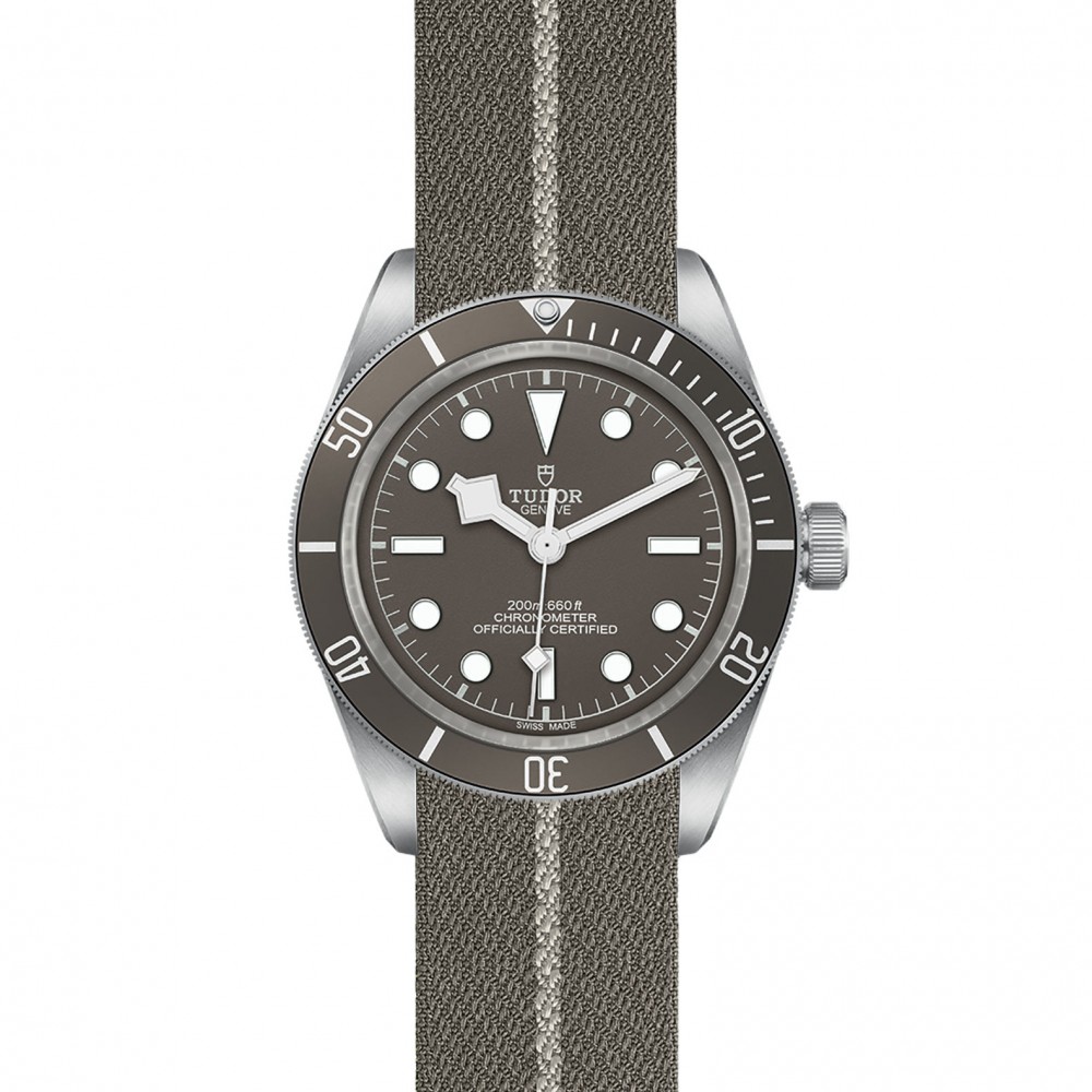 TUDOR Black Bay 58 Watch - M79010SG-0002 at  Providence Diamond