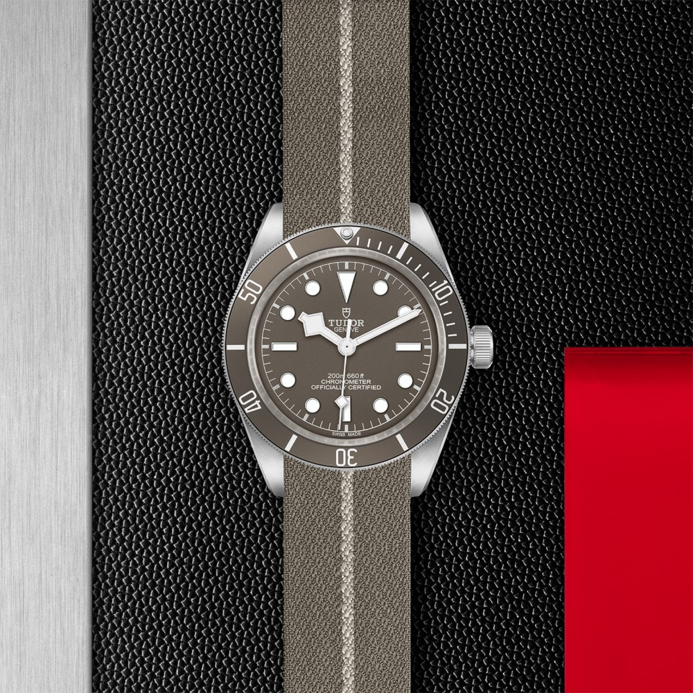 TUDOR Black Bay 58 Watch - M79010SG-0002 at  Providence Diamond