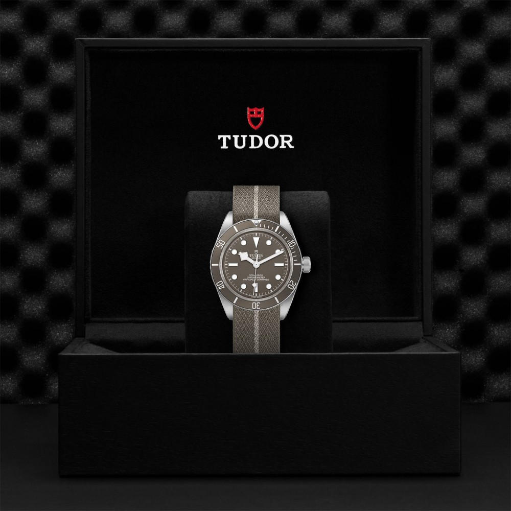 TUDOR Black Bay 58 Watch - M79010SG-0002 at  Providence Diamond