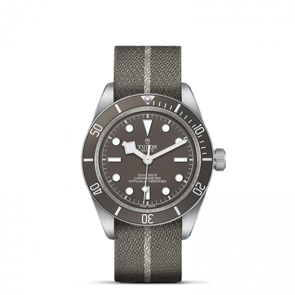 TUDOR Black Bay 58 Watch - M79010SG-0002 at  Providence Diamond