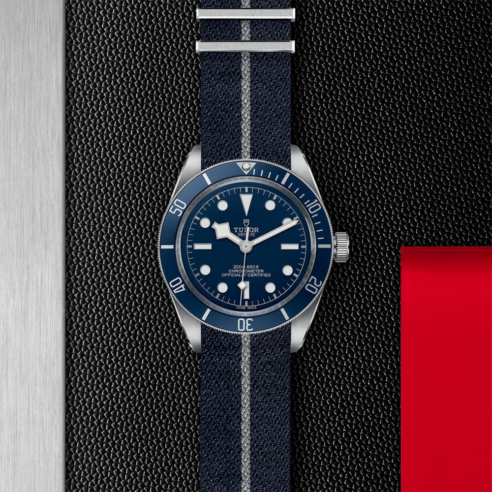 TUDOR Black Bay 58 Watch - M79030B-0003 at  Providence Diamond