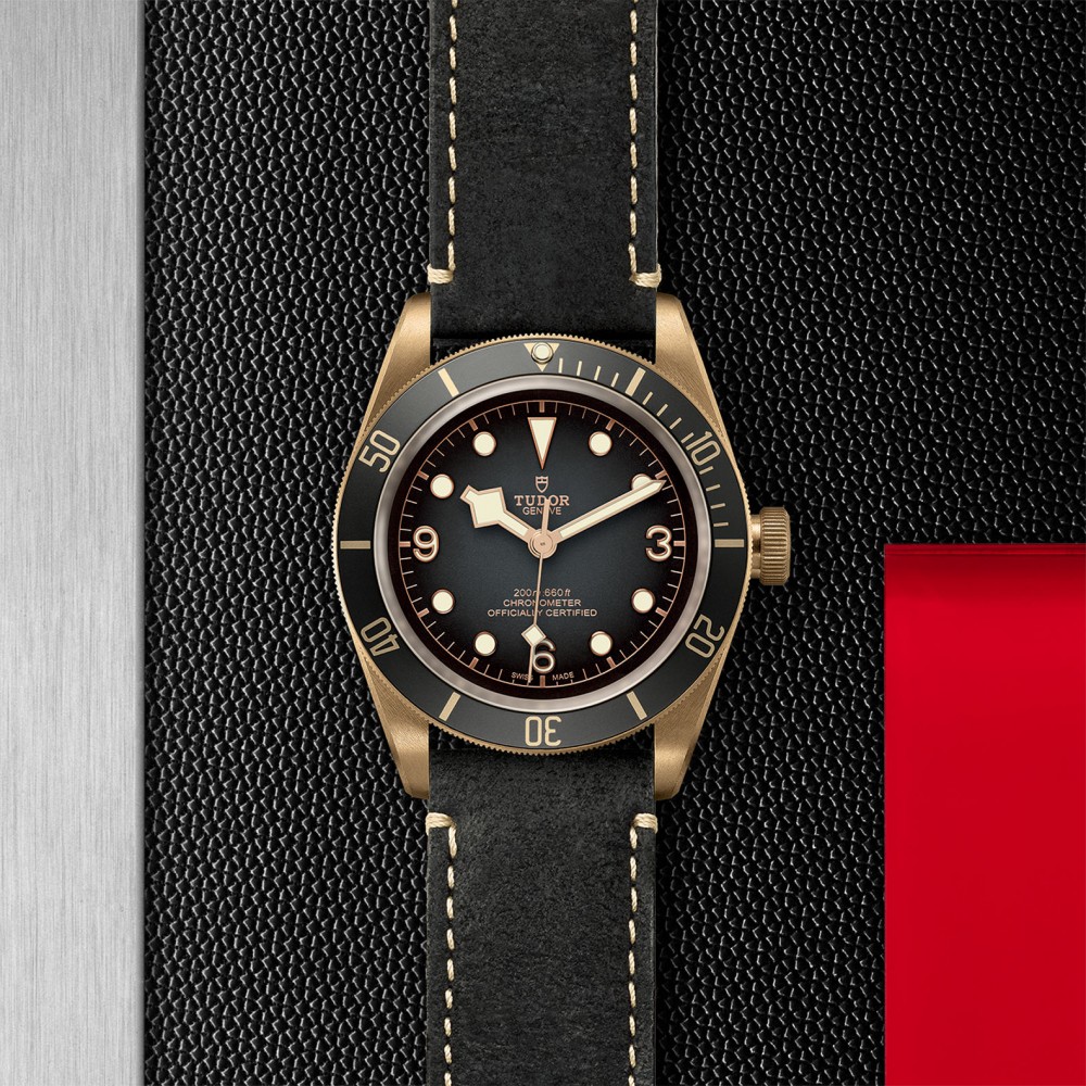 TUDOR Black Bay Bronze Watch - M79250BA-0001 at  Providence Diamond