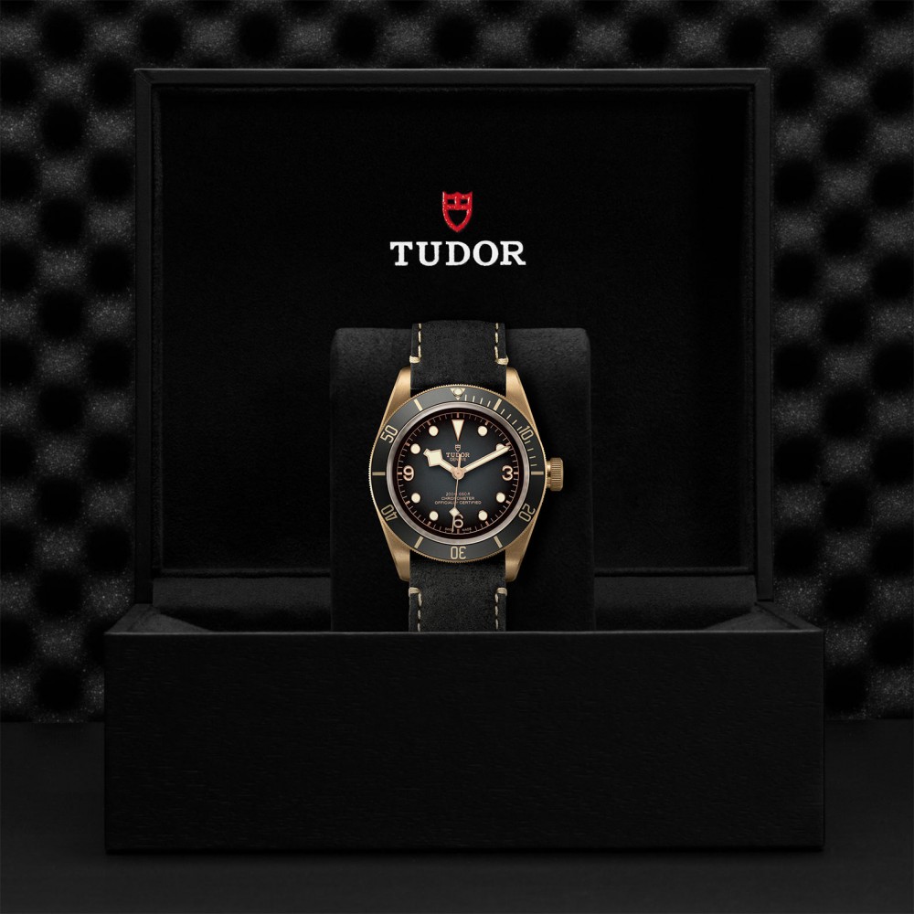 TUDOR Black Bay Bronze Watch - M79250BA-0001 at  Providence Diamond