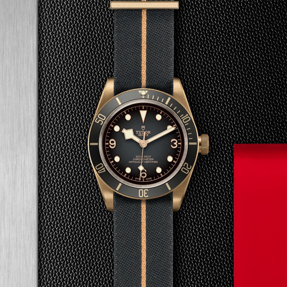 TUDOR Black Bay Bronze Watch - M79250BA-0002 at  Providence Diamond