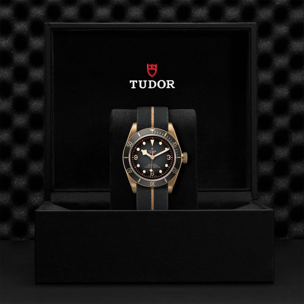 TUDOR Black Bay Bronze Watch - M79250BA-0002 at  Providence Diamond