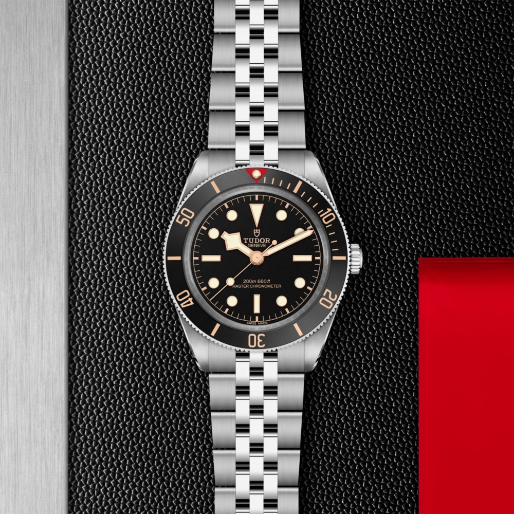 TUDOR Black Bay 58 Watch - M7939A1A0NU-0001 at  Providence Diamond