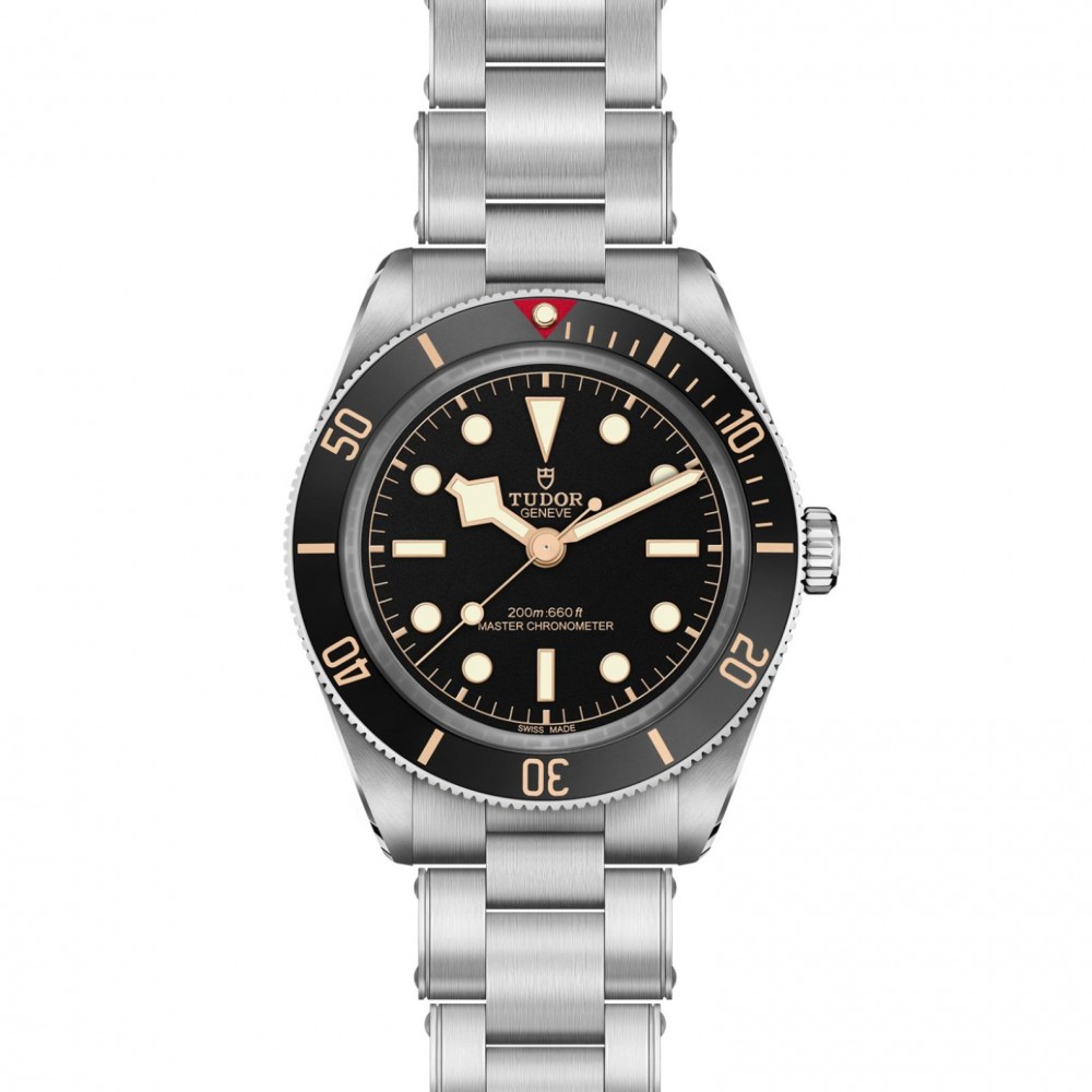 TUDOR Black Bay 58 Watch - M7939A1A0NU-0002 at  Providence Diamond