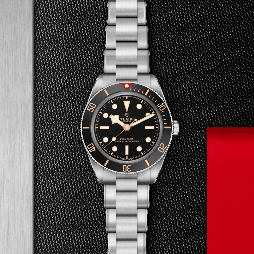 TUDOR Black Bay 58 Watch - M7939A1A0NU-0002 at  Providence Diamond