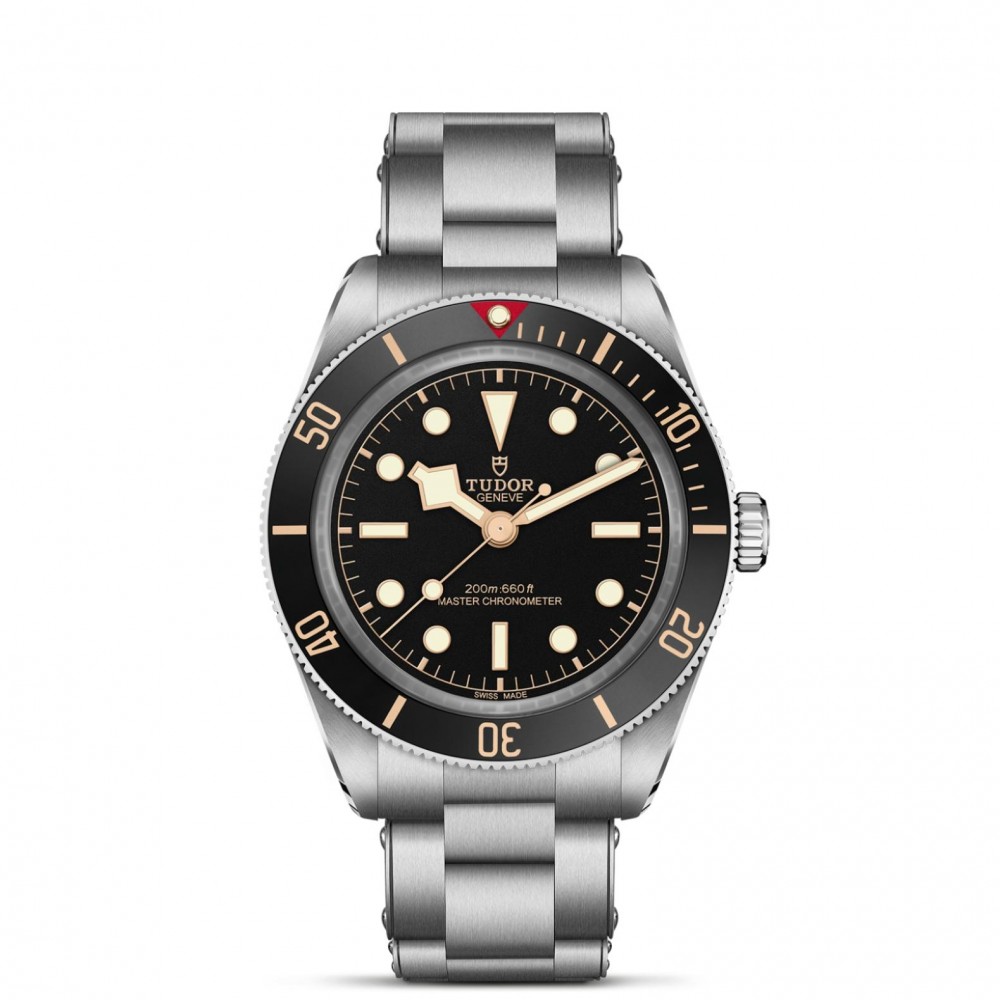 TUDOR Black Bay 58 Watch - M7939A1A0NU-0002 at  Providence Diamond