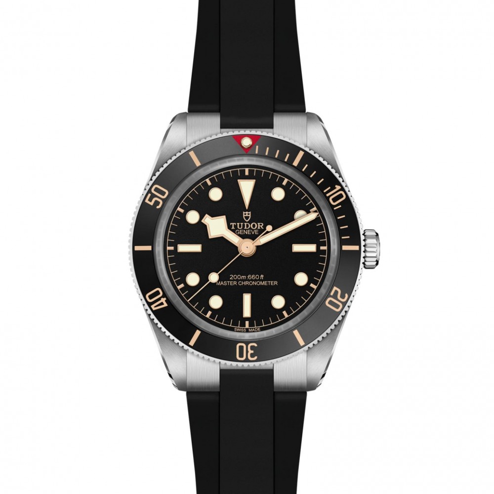 TUDOR Black Bay 58 Watch - M7939A1A0NU-0003 at  Providence Diamond
