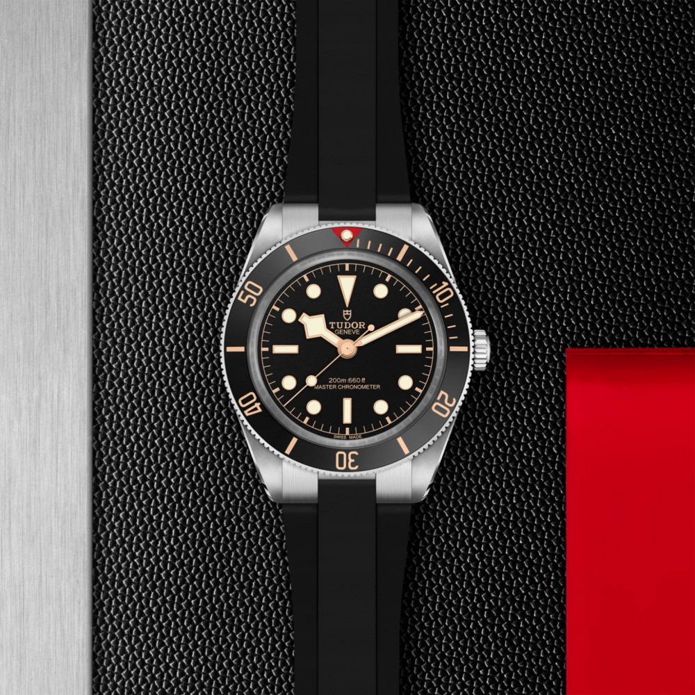TUDOR Black Bay 58 Watch - M7939A1A0NU-0003 at  Providence Diamond