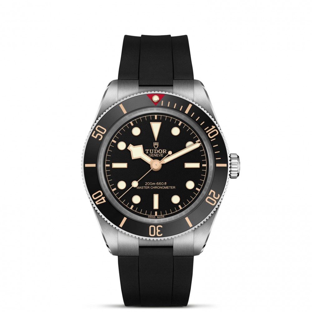 TUDOR Black Bay 58 Watch - M7939A1A0NU-0003 at  Providence Diamond