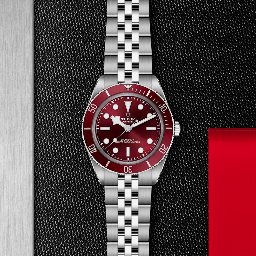 TUDOR Black Bay 58 Watch - M7939A1A0RU-0001 at  Providence Diamond
