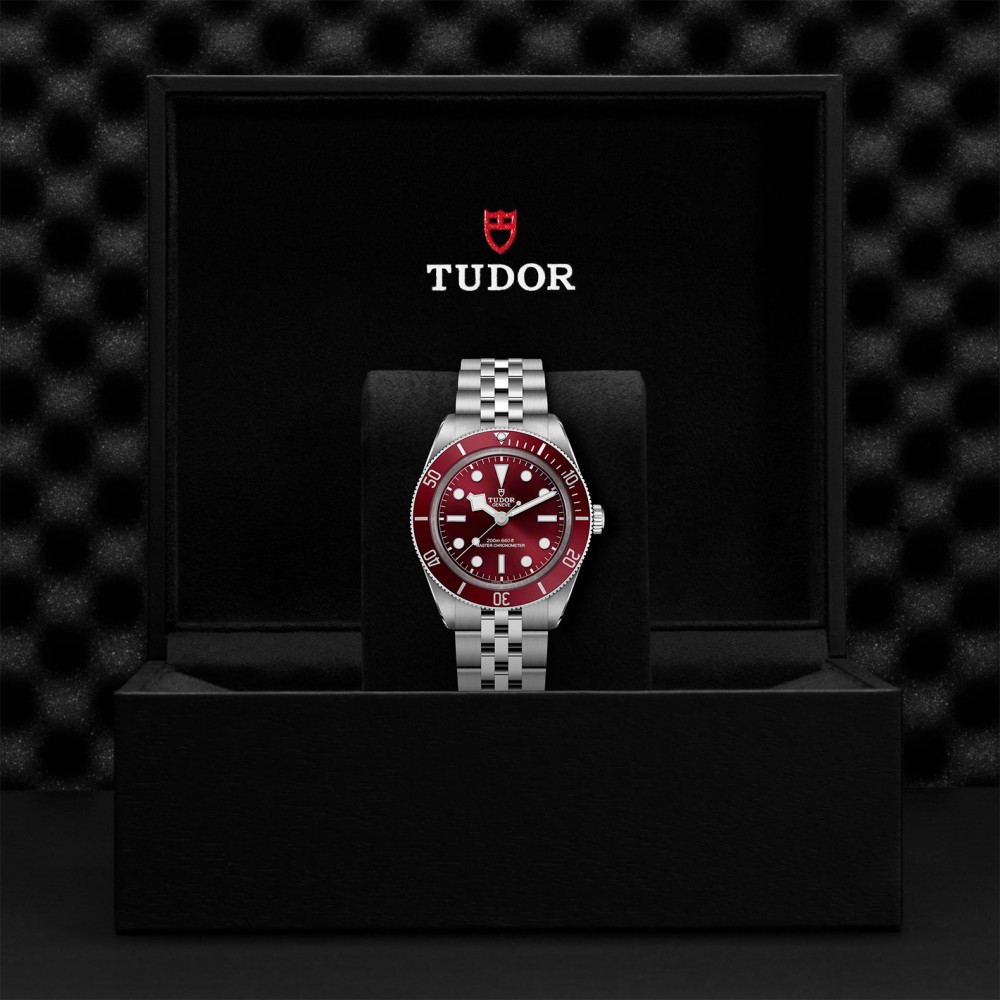 TUDOR Black Bay 58 Watch - M7939A1A0RU-0001 at  Providence Diamond