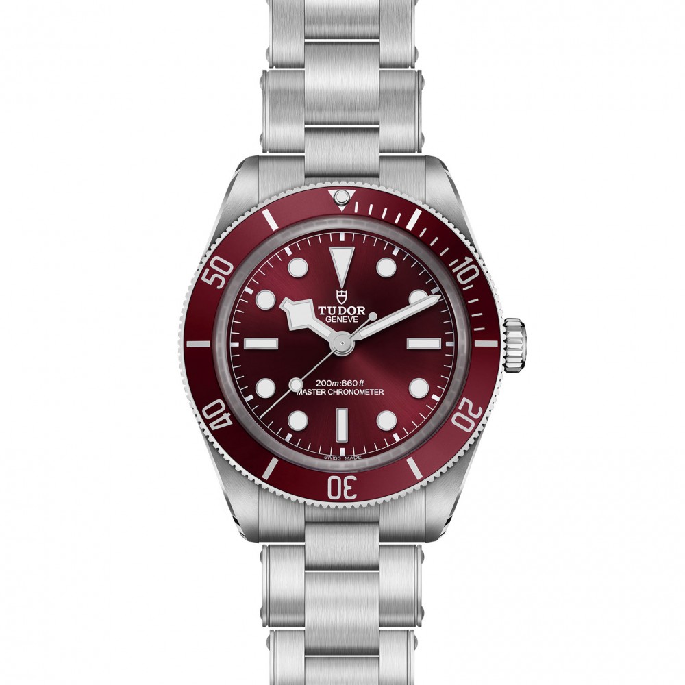 TUDOR Black Bay 58 Watch - M7939A1A0RU-0002 at  Providence Diamond
