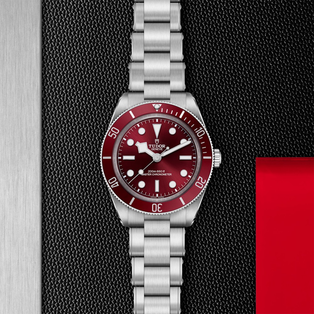 TUDOR Black Bay 58 Watch - M7939A1A0RU-0002 at  Providence Diamond