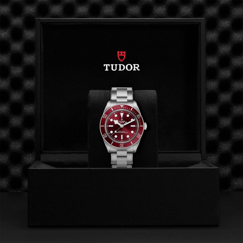 TUDOR Black Bay 58 Watch - M7939A1A0RU-0002 at  Providence Diamond