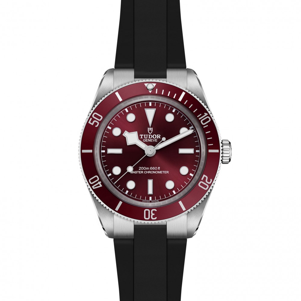 TUDOR Black Bay 58 Watch - M7939A1A0RU-0003 at  Providence Diamond