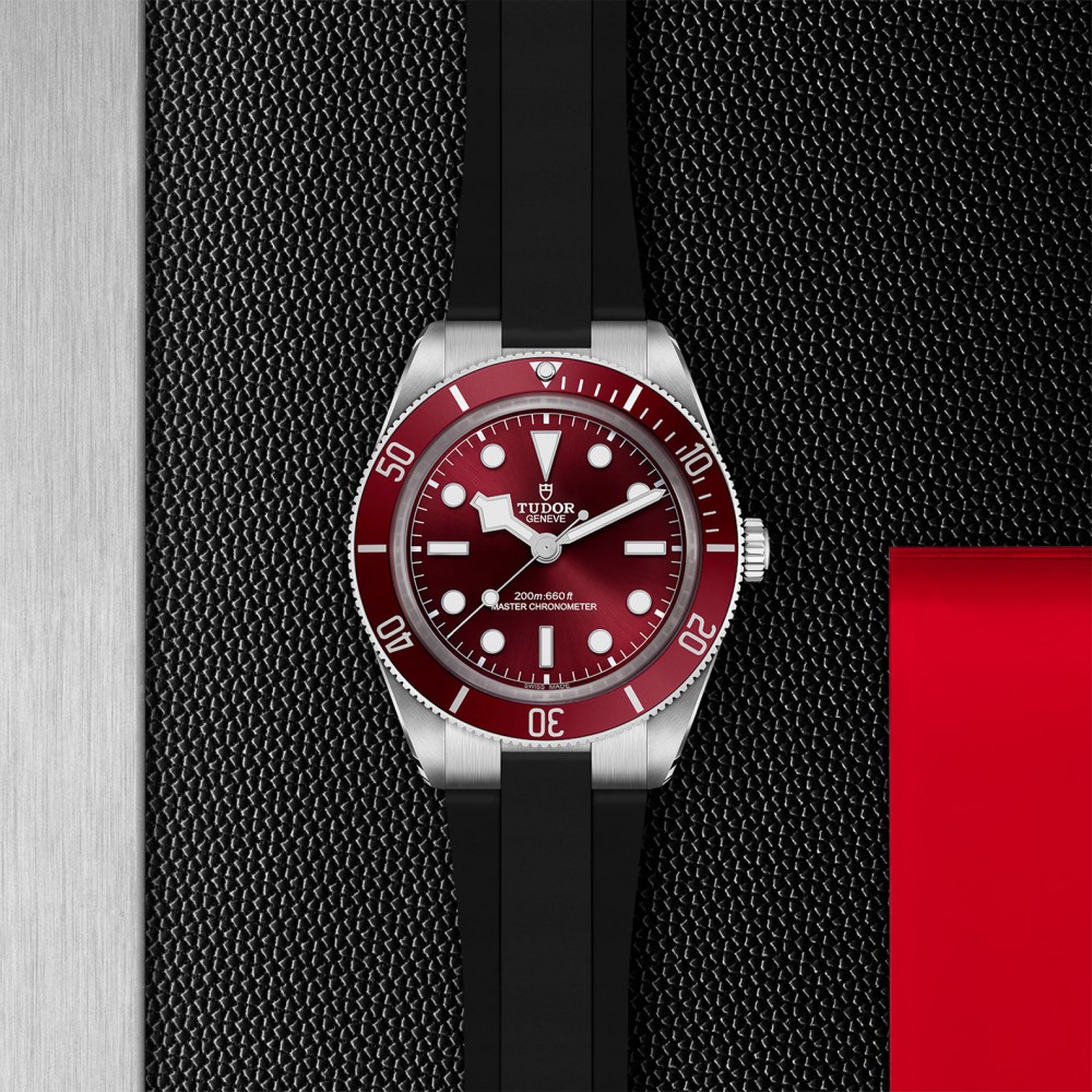 TUDOR Black Bay 58 Watch - M7939A1A0RU-0003 at  Providence Diamond