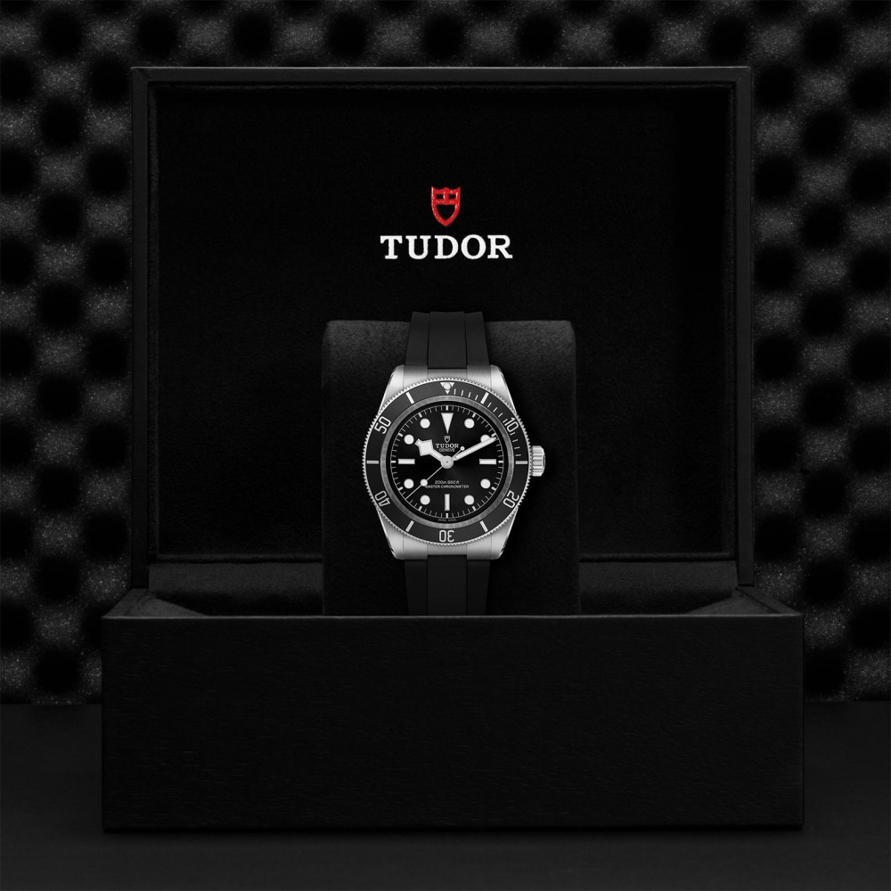 TUDOR Black Bay Watch - M7941A1A0NU-0002 at  Providence Diamond