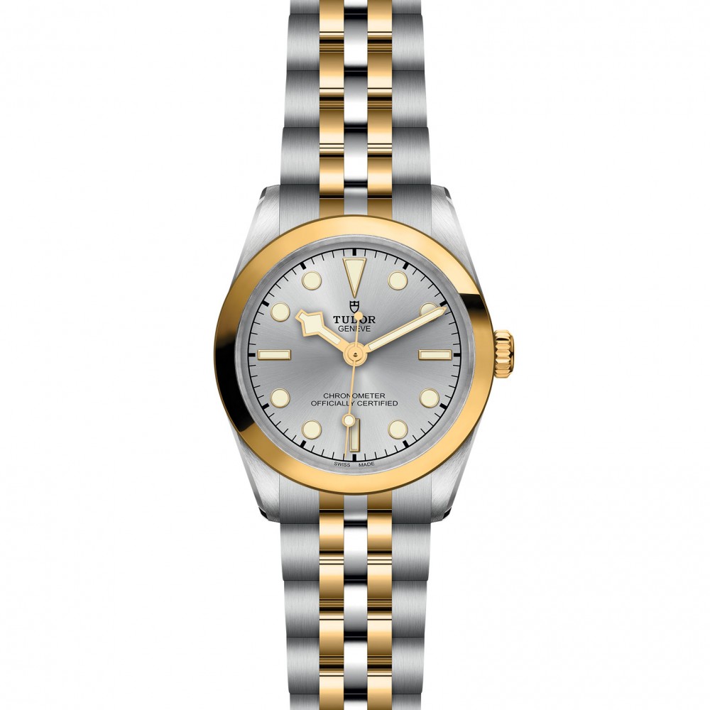 TUDOR Black Bay 31/36/39/41 S&G Watch - M79603-0002 at  Providence Diamond