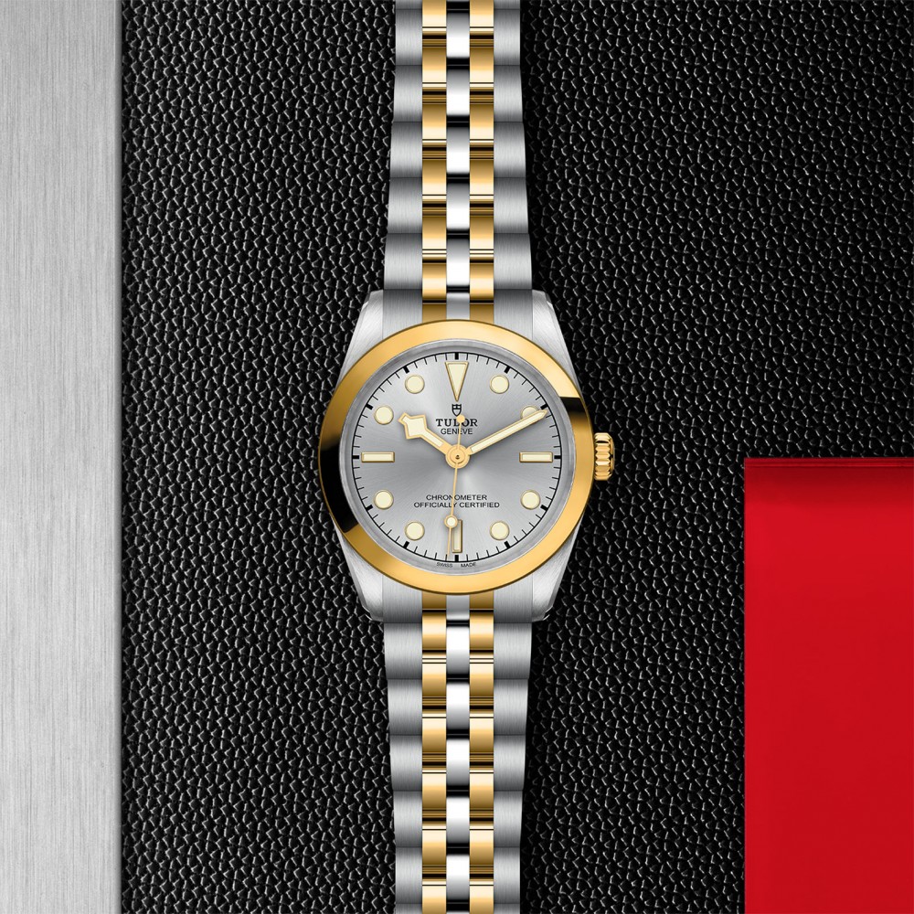 TUDOR Black Bay 31/36/39/41 S&G Watch - M79603-0002 at  Providence Diamond