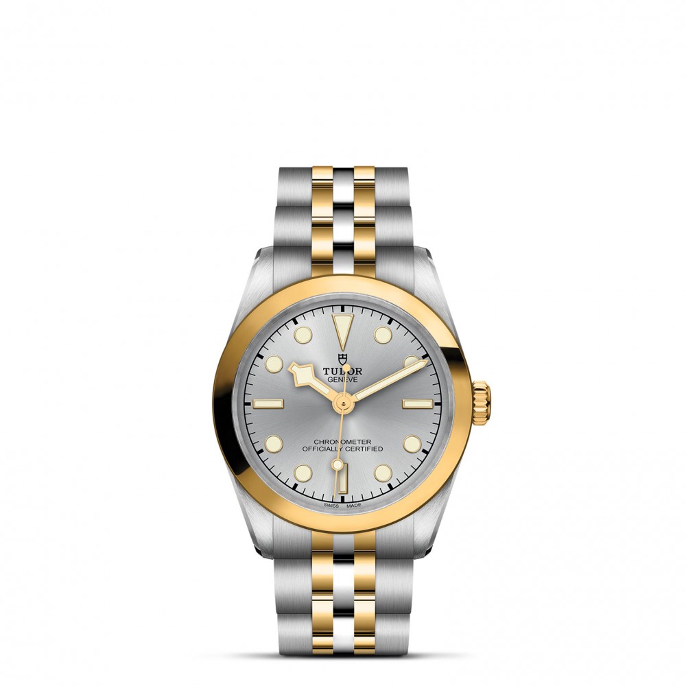 TUDOR Black Bay 31/36/39/41 S&G Watch - M79603-0002 at  Providence Diamond
