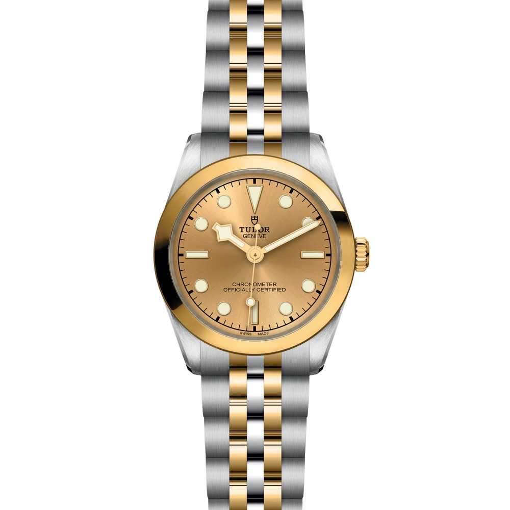 TUDOR Black Bay 31/36/39/41 S&G Watch - M79603-0005 at  Providence Diamond