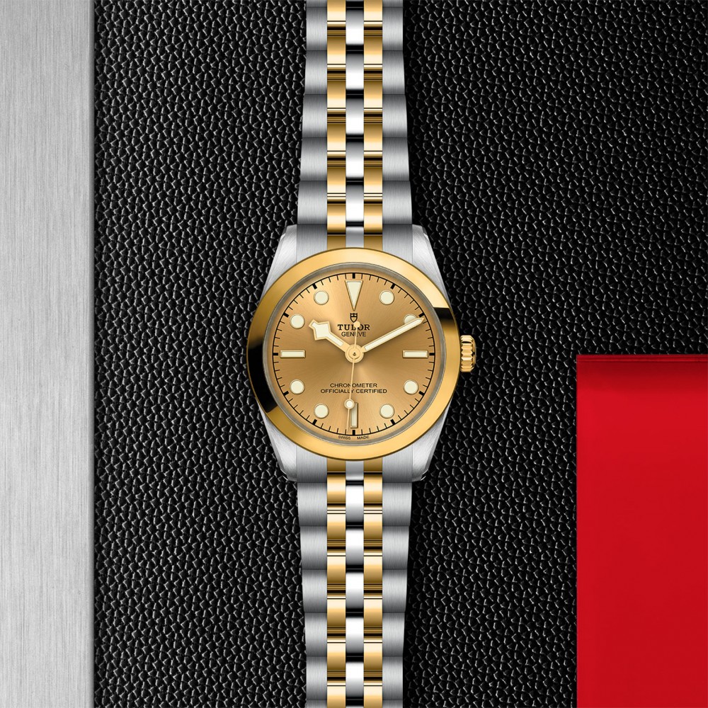 TUDOR Black Bay 31/36/39/41 S&G Watch - M79603-0005 at  Providence Diamond