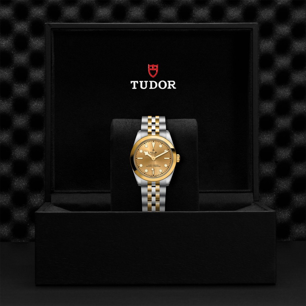 TUDOR Black Bay 31/36/39/41 S&G Watch - M79603-0005 at  Providence Diamond