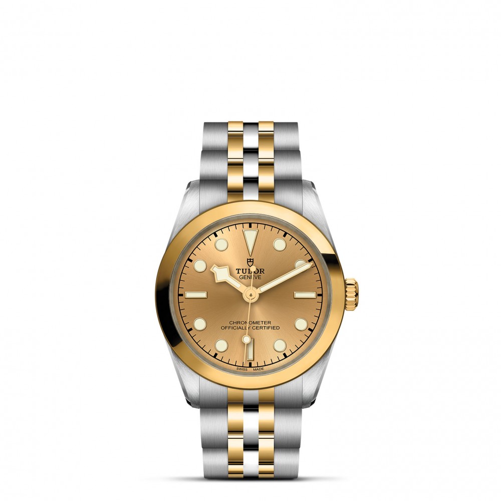 TUDOR Black Bay 31/36/39/41 S&G Watch - M79603-0005 at  Providence Diamond
