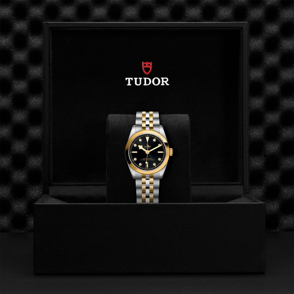 TUDOR Black Bay 31/36/39/41 S&G Watch - M79603-0006 at  Providence Diamond